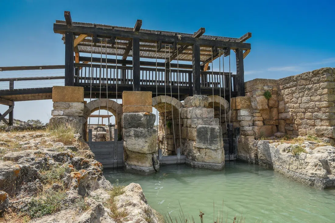 Taninim Stream Nature Reserve, Tel Aviv