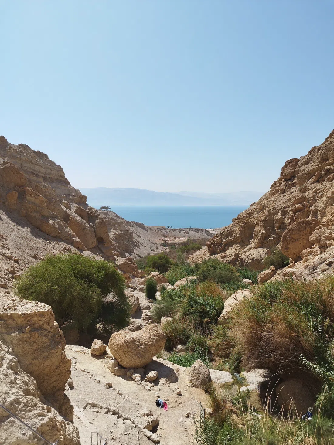 Ein Gedi Nature Reserve (Nahal David), Tel Aviv