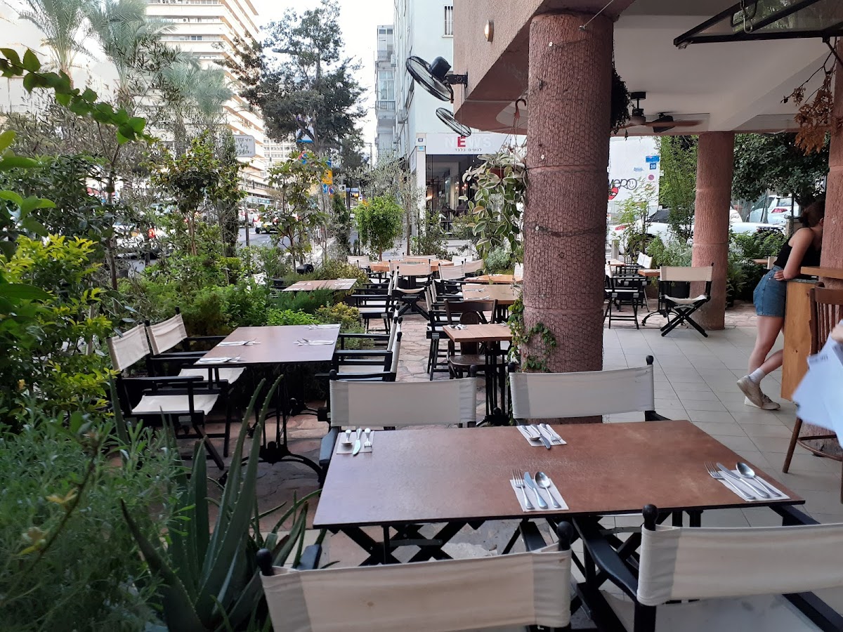 Dok, Tel Aviv