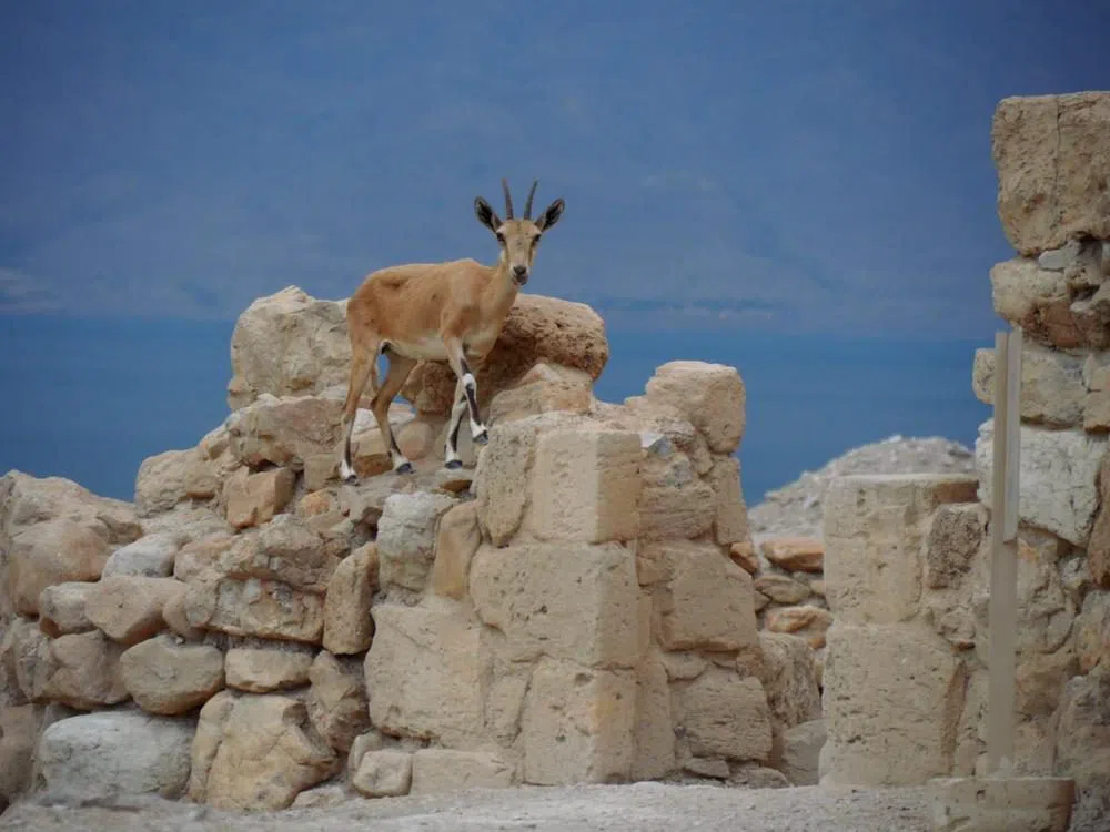 Parco Nazionale di Qumran, Tel Aviv